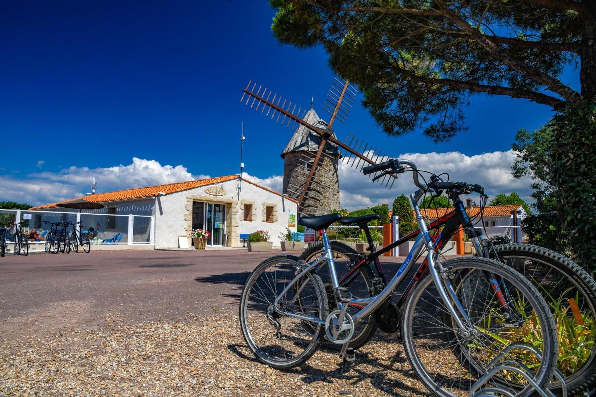 Camping Le Moulin De La Salle Les Sables-dʼOlonne 외부 사진